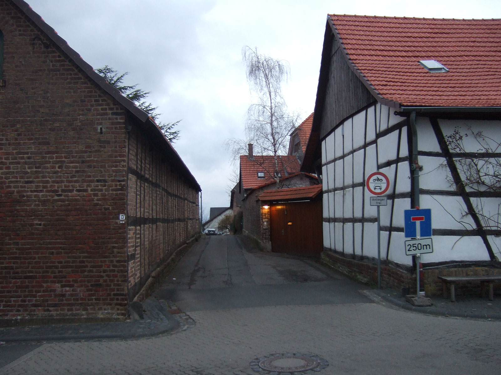 DSCF5324