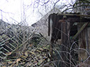 DSCF5318