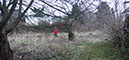 pano5